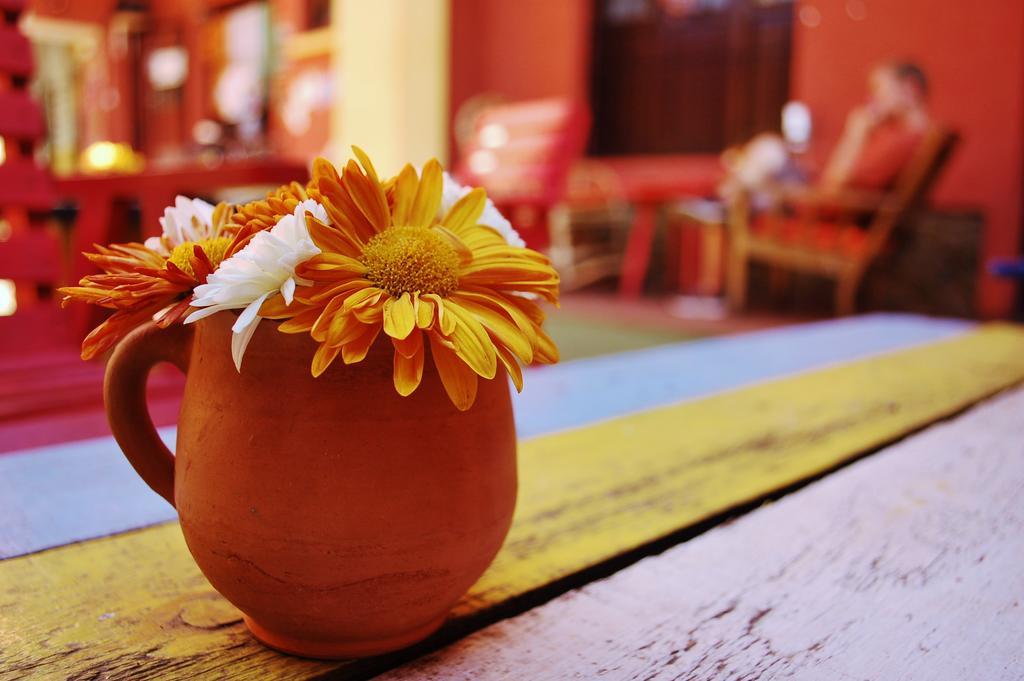 Jaguar House Hostel Cochabamba Exterior photo